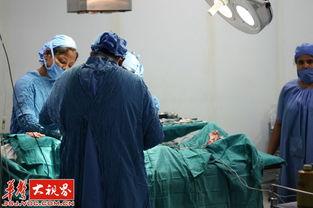 地下器官交易视频,黑暗视频背后的惊人真相