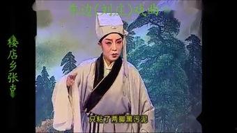 河南坠子书长篇视频,传承千年的民间艺术魅力再现